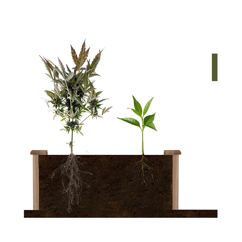 {$ v2.title | str_replace = '