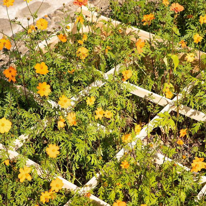 {$ v2.title | str_replace = '